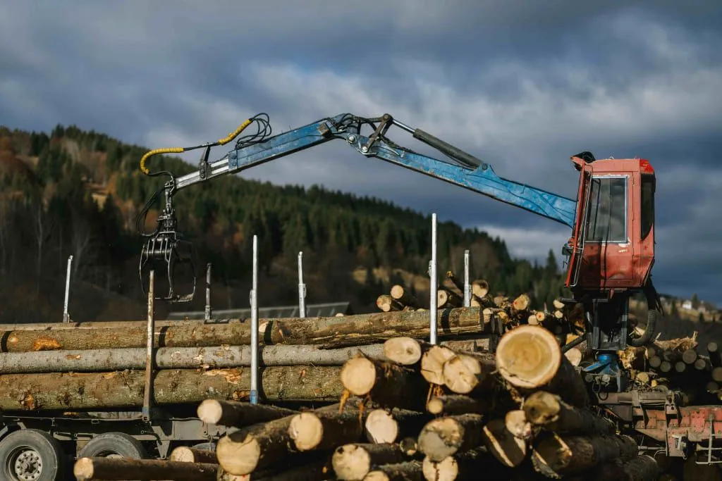 4444444444 (1).jpg природа