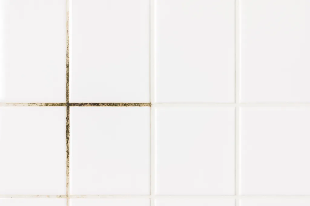 20250825_1654_Плитка с плесневыми швами_remix_01k3gqz4ywegqrsjg5sdey6kyb.png