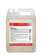 Prosept Duty Hard + / Просепт Дьюти Хард + Моющее средство для фасадов зданий и дорожных покрытий